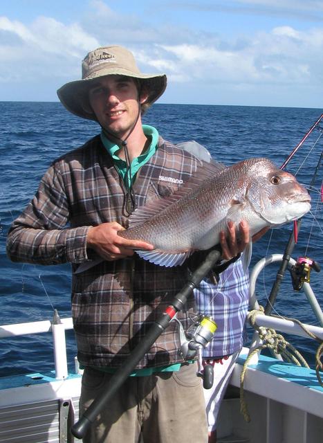 pink snapper